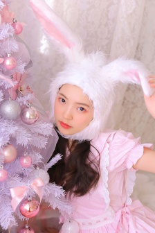苏家有女苏杳小说免费全文阅读